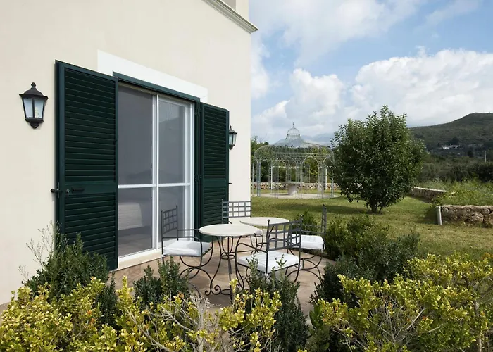  Collina Degli Ulivi